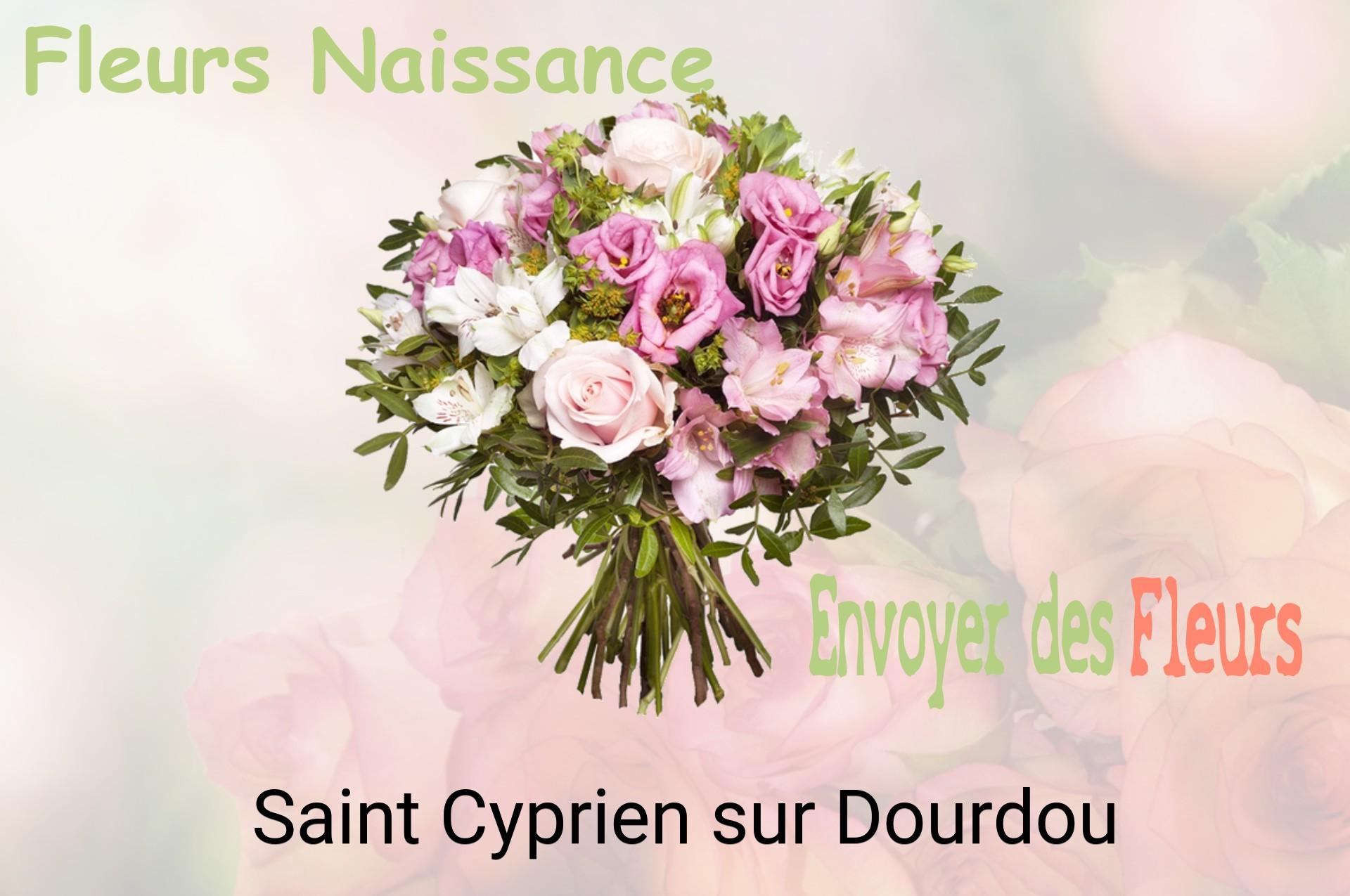 Bouquet de fleurs de naissance livré à Saint-Cyprien-sur-Dourdou